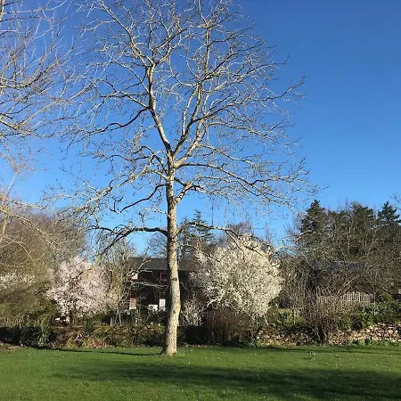 Du Manoir De L'herbier Blaison-Saint-Sulpice
